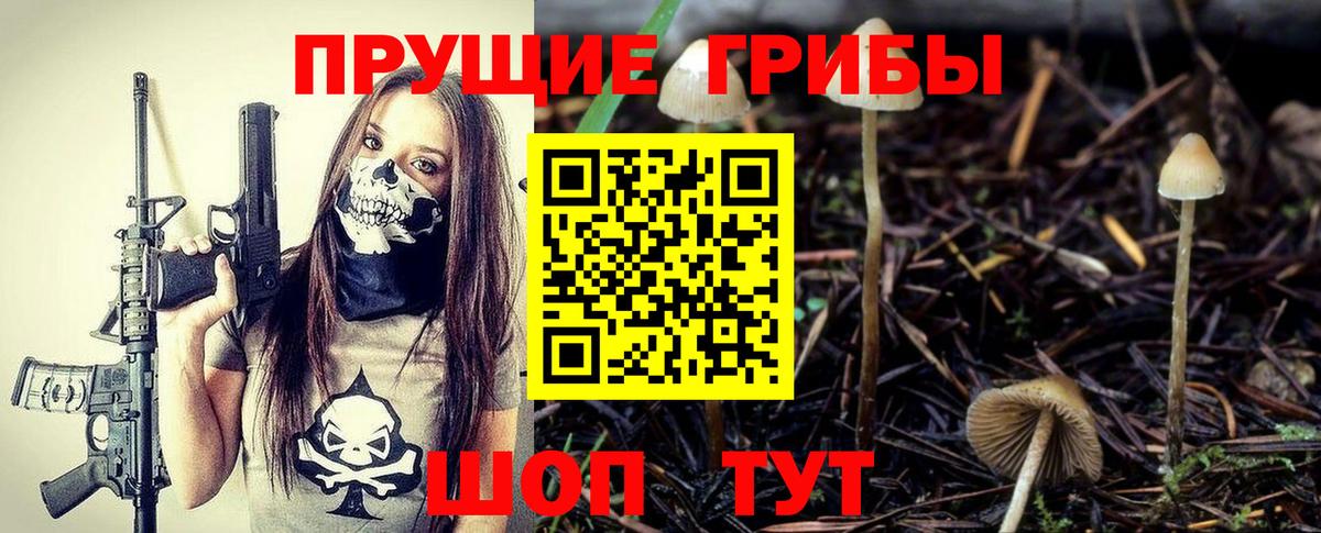 Галлюциногенные грибы GOLDEN TEACHER  Псилоцибиновые грибы Cubensis  Вязники  Вход с VPN 