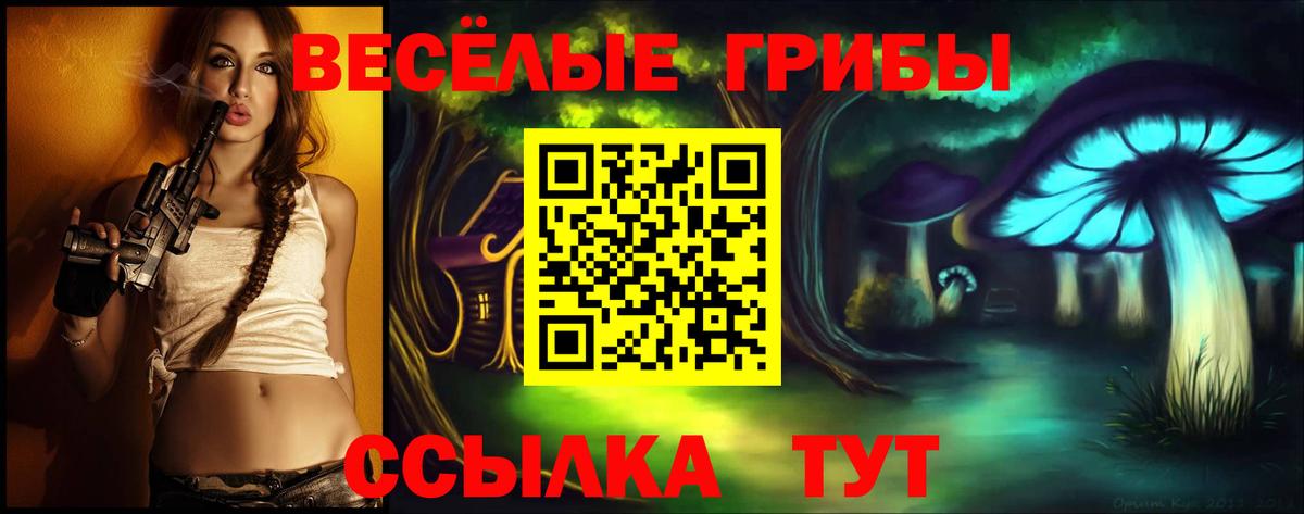 Галлюциногенные грибы Cubensis Вязники